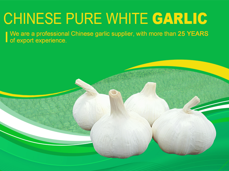 White Garlic