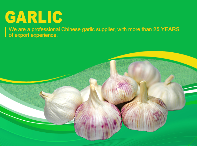 Red Garlic