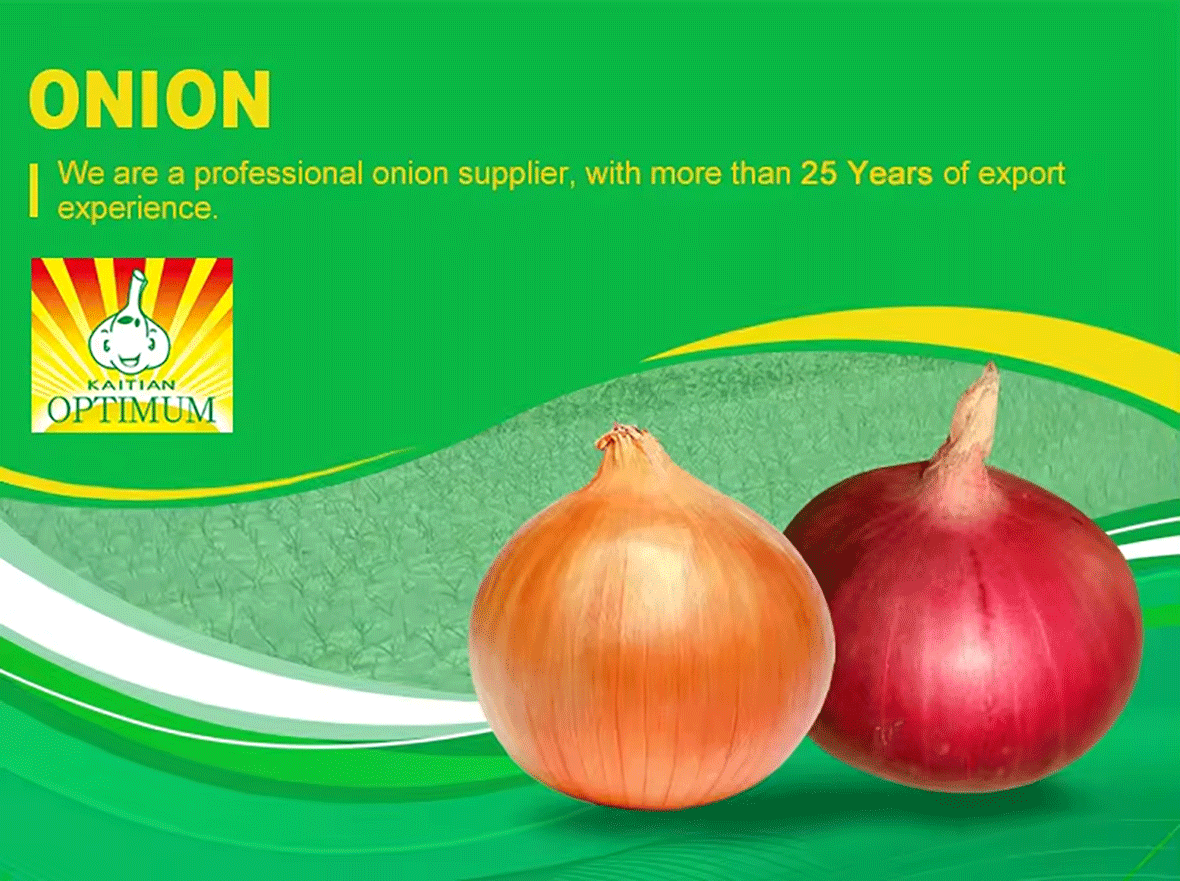 Fresh Onion